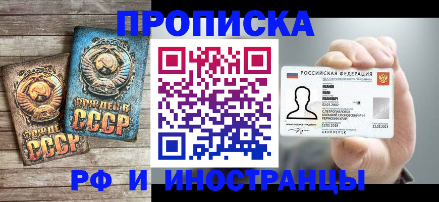 где прописаться в Вязьме
